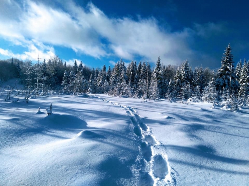 Lac aux canards 2