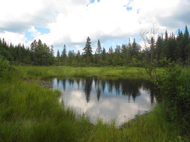 Lac-aux-canards3-g.jpg